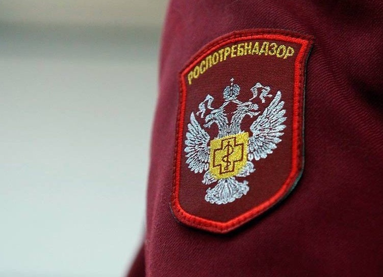 Рособрнадзор ответил на часто задаваемые вопросы: ЕГЭ 2021, ГВЭ и золотые медали