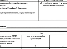 Форма ЗП-образование: инструкция по заполнению в 2024 году