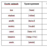 حیوانات (وحشی و اهلی، پرندگان، ماهی ها، حشرات) به انگلیسی
