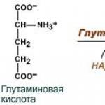 Scindarea oxidativă a aminoacizilor Reacția de oxidare a aminoacizilor