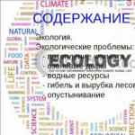 Presentación sobre el tema de los problemas ambientales del mundo Problema ambiental, presentación sobre geografía.